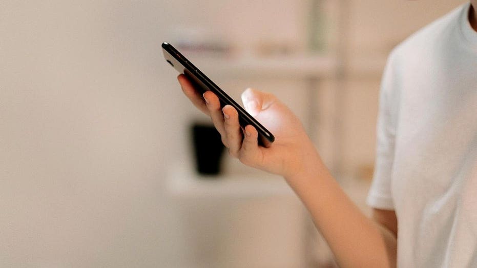 Is that traffic ticket text a scam or real? Sydney Private Schools